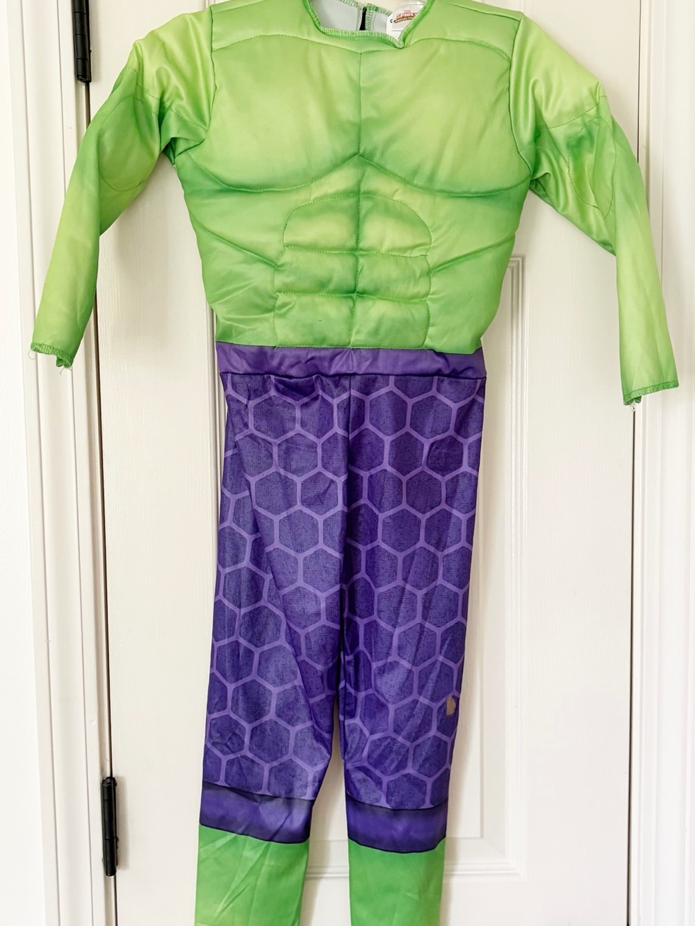 3T - 4T Hulk Costume spidey and his amazing friends Halloween costume
